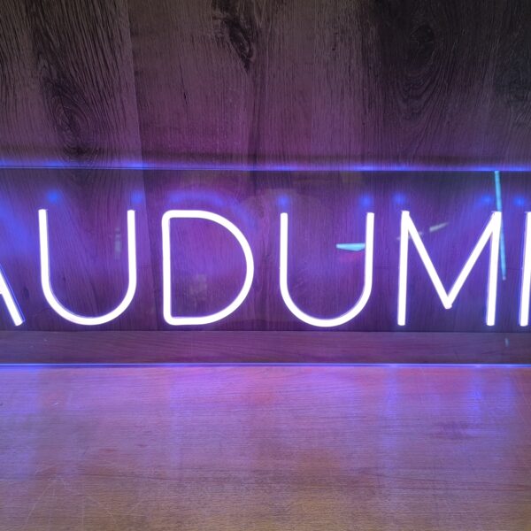 Personalizēta LED neona zīme