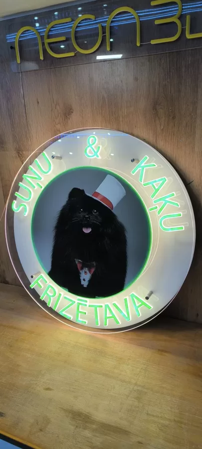 LED neona izkārtne